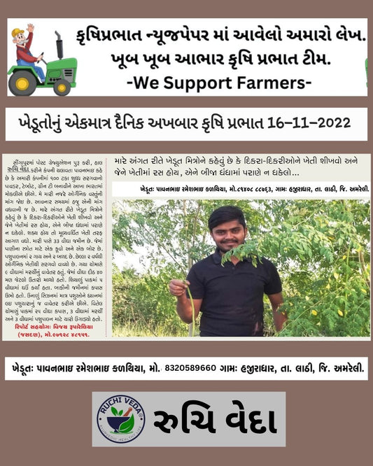 Organic Moringa Drumstick Powder - ઓર્ગેનિક સરગવા શિંગ પાવડર.