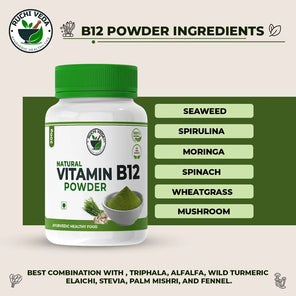 ingredients of vitamin b12 powder, ruchi veda, vitamin b12 supplements
