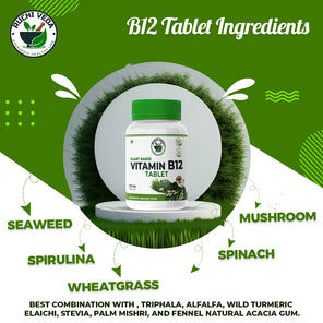 ingredients of vitamin b12 tablet, ruchi veda, vitamin b12  tablet foods